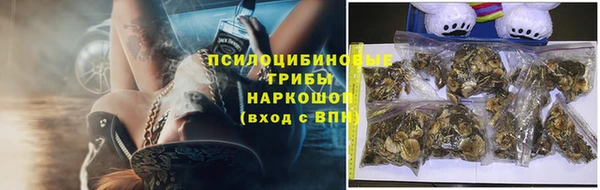 бошки Алексин