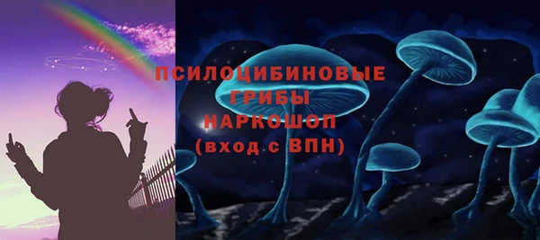 бошки Алексин