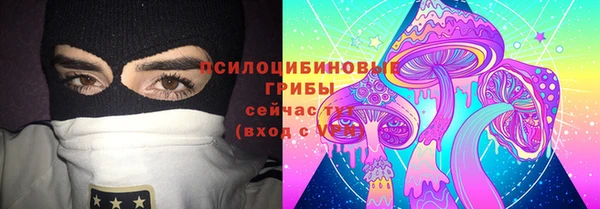 прущие грибы Алексеевка