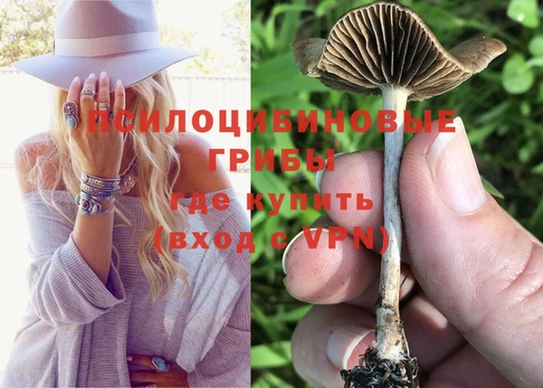 бошки Алексин