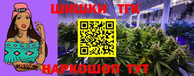дмт Шелехов