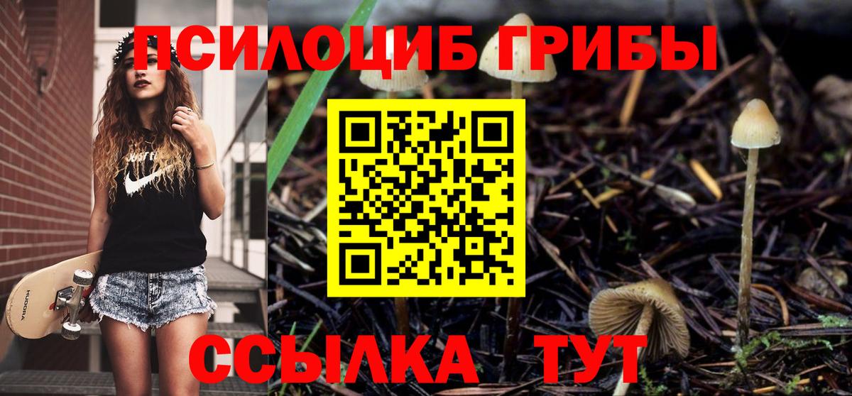 Псилоцибиновые грибы GOLDEN TEACHER Павлово