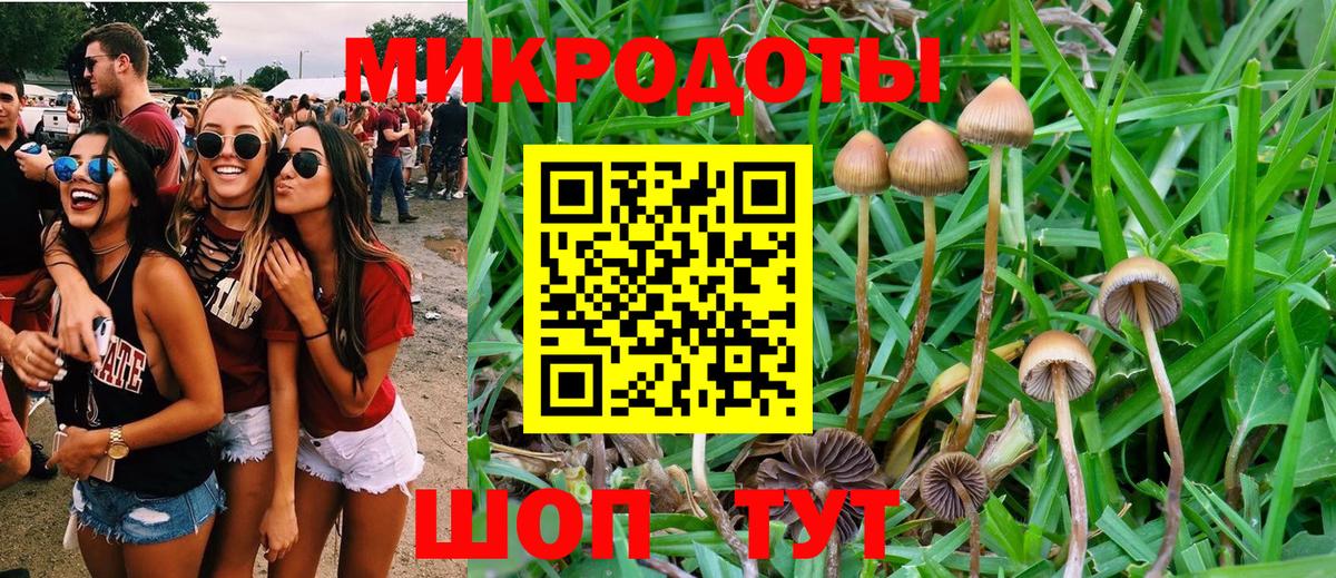Галлюциногенные грибы мухоморы  Вход с VPN  цены   Павлово 